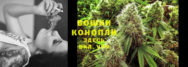 apvp Карпинск