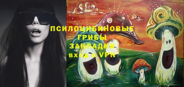 первитин Каменногорск