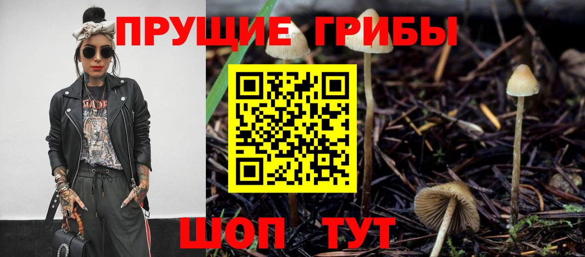 Котельники  Галлюциногенные грибы мицелий  Вход с VPN 