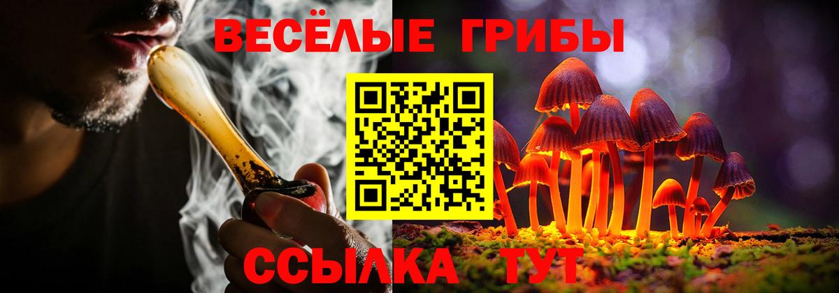 Галлюциногенные грибы Magic Shrooms Котельники