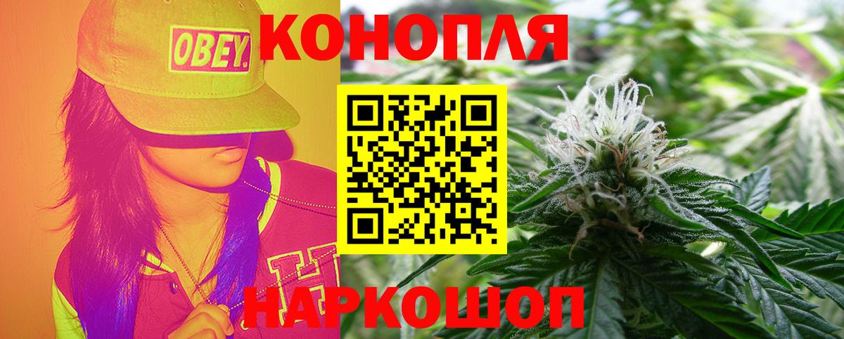 Каннабис OG Kush Котельники